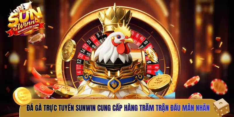 Đá gà trực tuyến SUNWIN cung cấp hàng trăm trận đấu mãn nhãn
