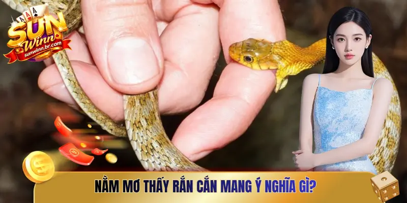 Nằm mơ thấy rắn cắn mang ý nghĩa gì?