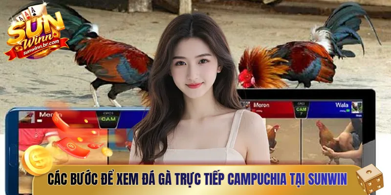 Các bước để xem đá gà trực tiếp Campuchia tại Sunwin