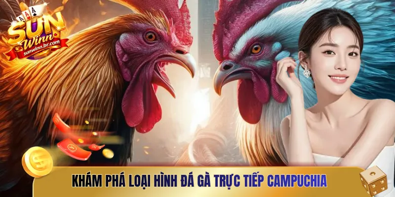 Khám phá loại hình đá gà trực tiếp Campuchia