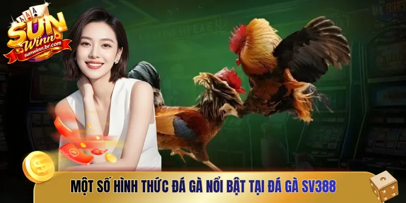 Một số hình thức đá gà nổi bật tại Đá gà SV388