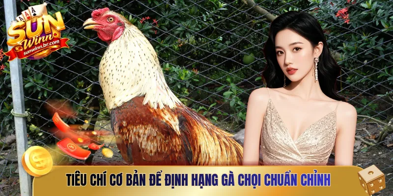 Tiêu chí cơ bản để định hạng gà chọi chuẩn chỉnh