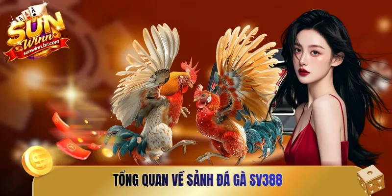 Tổng quan về sảnh Đá gà SV388