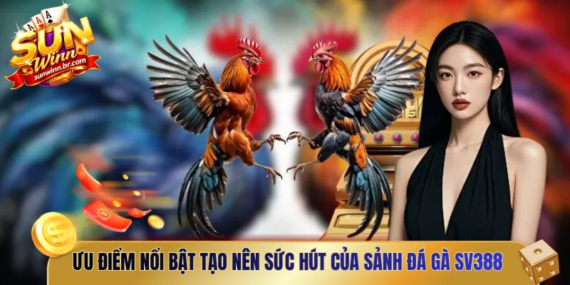 Ưu điểm nổi bật tạo nên sức hút của sảnh Đá gà SV388